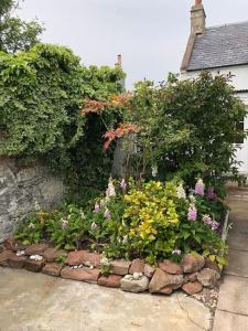 a garden of flowers in front of a house at Kings Cottage, Nairn - a charming place to stay in Nairn