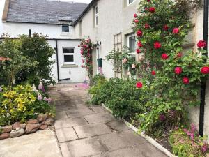 a garden with roses growing on a house at Kings Cottage, Nairn - a charming place to stay in Nairn