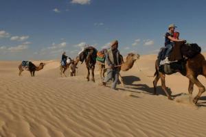 a group of people riding camels in the desert at Maison Proche De Désert Douz in Douz