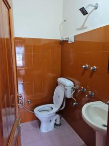 uma casa de banho com um WC e um lavatório em High Spirits Hostel and Cafe, Mateura em Jari