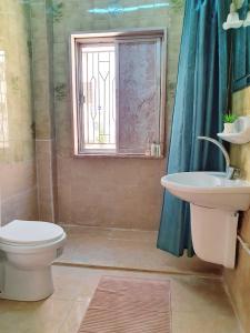 a bathroom with a toilet and a sink and a window at Lovely Two Bedroom Apartment in Amman in Umm Uthainah