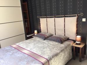 1 dormitorio con 1 cama con 2 almohadas en Chambre d'hôte " Le Ponant ", en Marsillargues