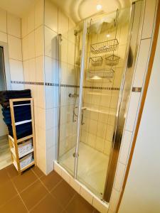 La salle de bains est pourvue d'une douche avec une porte en verre. dans l'établissement L'Envolée Alsacienne - Magnifique appartement en duplex, à Ostheim