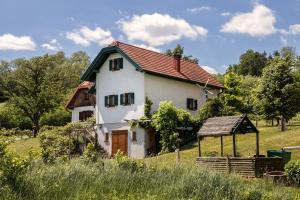 biały dom z czerwonym dachem na polu w obiekcie Kellerstöckl Postrumer Weinberg 49 w mieście Kulm im Burgenland