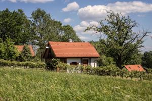 mały domek z pomarańczowym dachem na polu w obiekcie Kellerstöckl Postrumer Weinberg 48 w mieście Kulm im Burgenland