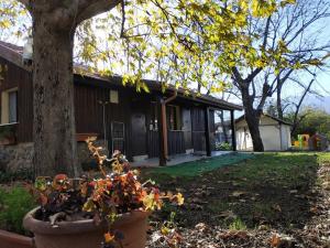 una casa con un albero di fronte a un cortile di beit nofesh waiss a Beit Hillel