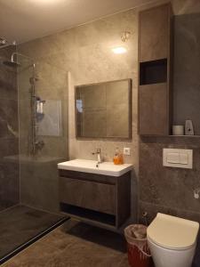 a bathroom with a sink and a shower and a toilet at Hotel Centrum in Mitrovicë