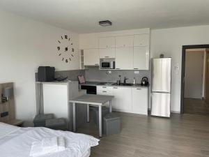 eine Küche mit einem Kühlschrank und einem Tisch darin in der Unterkunft Apartmán Kapy Lipno in Lipno nad Vltavou
