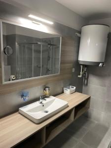 a bathroom with a sink and a mirror at Apartmán Kapy Lipno in Lipno nad Vltavou +36 photos