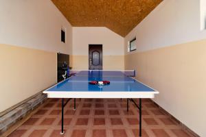 a ping pong table in the middle of a room at Green Art House in Kovilovo