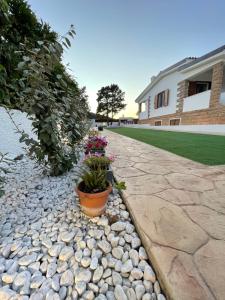 a stone walkway with flower pots and a building at Casa Miele in Santa Lucia