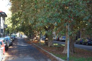 Vonkajšia záhrada v ubytovaní Il Broletto B&B