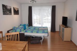 TV a/nebo společenská místnost v ubytování Appartement Bergzeit