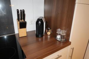 Kuchyň nebo kuchyňský kout v ubytování Appartement Bergzeit