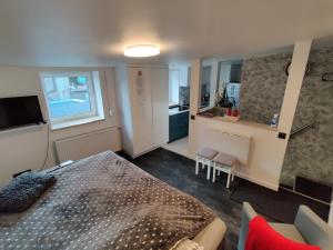 Η κουζίνα ή μικρή κουζίνα στο DEIZY Apartamenty +22 φωτογραφίες