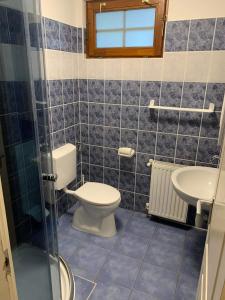Cserhátvölgy Panzió في Alsótold: حمام مع مرحاض ومغسلة