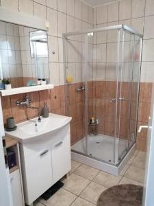 La salle de bains est pourvue d'une douche et d'un lavabo. dans l'établissement Apartman Ana 1, à Valpovo