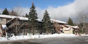 eine Lodge im Schnee mit schneebedeckten Bäumen in der Unterkunft Austrian Haus Lodge in West Dover