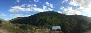 a mountain covered in trees on top of a hill at Aygut Guest House in Aygut