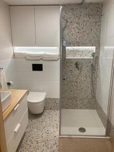 a bathroom with a shower and a toilet at Apartament Tymon in Karpacz