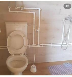 een badkamer met een toilet met pijpen aan de muur bij Bungalovi 3AS in Žabljak