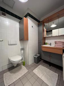 a bathroom with a toilet and a sink at Cosy apartment in central location in Vienna