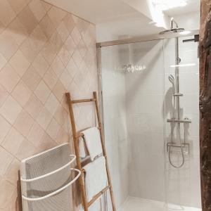 a bathroom with a glass shower with a ladder at Le Seize - Studio dans le centre historique d'Auch in Auch