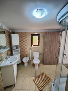 ein Bad mit einem WC, einem Waschbecken und einer Dusche in der Unterkunft Casa Rustica in Borşa