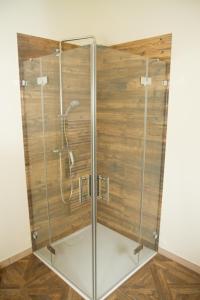 a shower in a room with a wooden wall at Apartment White der Sportschule Badura in Leipzig
