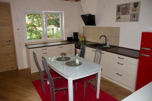eine Küche mit einem Tisch mit Stühlen und einem Waschbecken in der Unterkunft Apartment White der Sportschule Badura in Leipzig