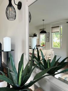 Fotografie z fotogalerie ubytování Apartments Zafira v destinaci Ohrid