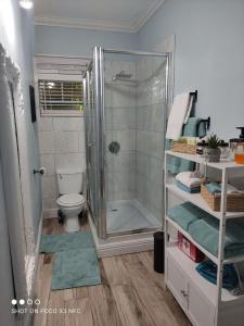 a bathroom with a shower and a toilet at Arcadia Studio Apartment in Augier