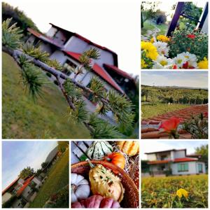 a collage of pictures of flowers and a house at Къща за гости Сърцето на долината /The Heart of the valley in Enina