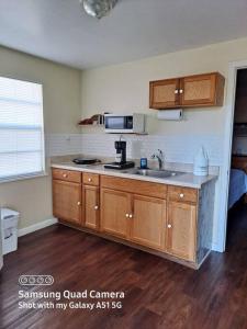 a kitchen with a sink and a microwave at Green house in Tampa