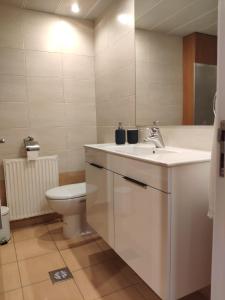 a bathroom with a sink and a toilet at Ευ ζην Central / Ev zen central in Nicosia