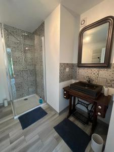 un bagno con lavandino e doccia con specchio di Chambre privée Chiberta a Chanas