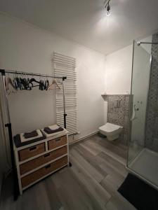bagno con doccia, lavandino e servizi igienici di Chambre privée Chiberta a Chanas