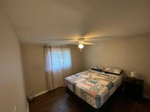 Gallery image of Kingston Comfort Hub in Kingston