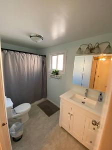 a bathroom with a toilet and a sink at AleHar House in Kingston