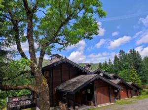 a cabin in the woods with a tree at Le Chalet de Nabor in Les Gets