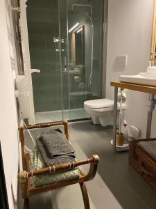 ein Badezimmer mit einer Dusche und einem Stuhl mit einem WC in der Unterkunft Suite privée avec accès jardin en coeur de village 