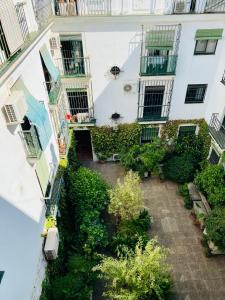 widok na budynek apartamentowy z roślinami w obiekcie Magic Point Sevilla w Sewilli