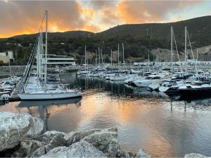 grupa łodzi zakotwiczona w przystani o zachodzie słońca w obiekcie O som das ondas - vista soberba de mar w mieście Sesimbra