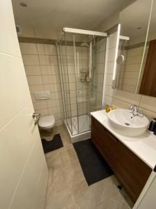 La salle de bains est pourvue d'un lavabo, d'une douche et de toilettes. dans l'établissement Apartment „AlpView“,Tirol mit Sauna und Pool, à Vomp