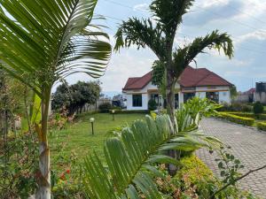 a garden with palm trees and a house at Virunga Homestays in Ruhengeri