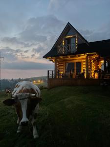 a cow standing in the grass in front of a house at Little House in Ząb