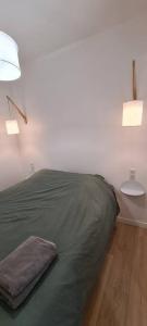 1 dormitorio con 1 cama verde y 2 lámparas en Catel Studio hyper centre Saint Dizier, en Saint-Dizier