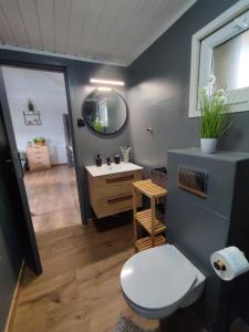 a bathroom with a toilet and a sink at U Benka in Wisełka