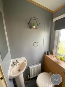 a bathroom with a white sink and a toilet at Golden Palm - Sherwood 472 - S472 in Skegness