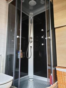 a shower with a glass door in a bathroom at Acogedora casa rural en la sierra de Madrid in Mataelpino